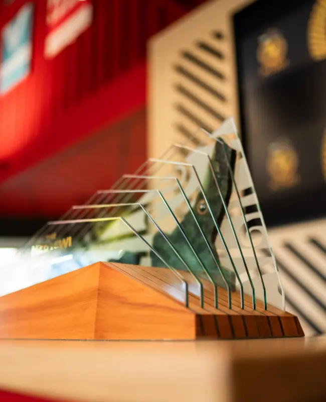 te puhoro trophy case study